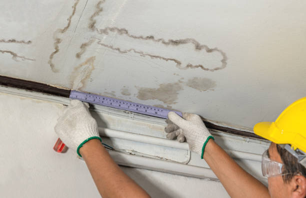 Reliable Water Damage contractor in Clark, NJ by Water Damage Irwin